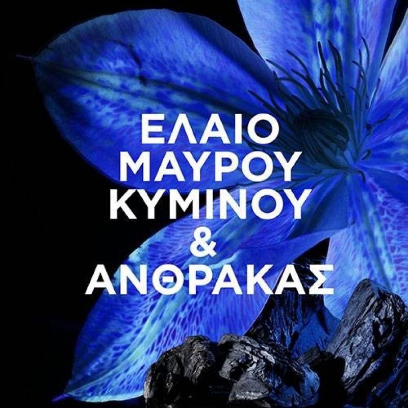 BOTANIC ΜΑΣΚΑ ΕΞΙΣΣΟΡΟΠΗΣΗΣ ΜΑΛΛΙΩΝ ΜΕ ΕΝΕΡΓΟ ΑΝΘΡΑΚΑ 340ML