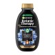 GARNIER BOTANIC ΣΑΜΠΟΥΑΝ MAGNETIC CHARCOAL 400ML