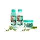 FRUCTIS ΣΑΜΠΟΥΑΝ ΗΑΙR FOOD ALOE VERA 350ML