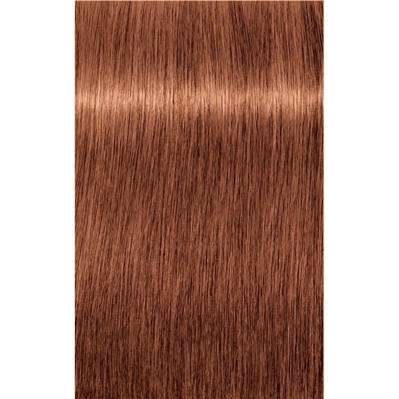 SCHWARZKOPF INDOLA COLOR RED AND FASHION N.6.4 ΞΑΝΘΟ ΣΚΟΥΡΟ ΧΑΛΚΙΝΟ 60ML