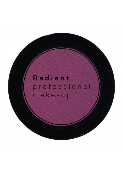 RADIANT PROFESSIONAL EYE COLOR N.295 PLUM