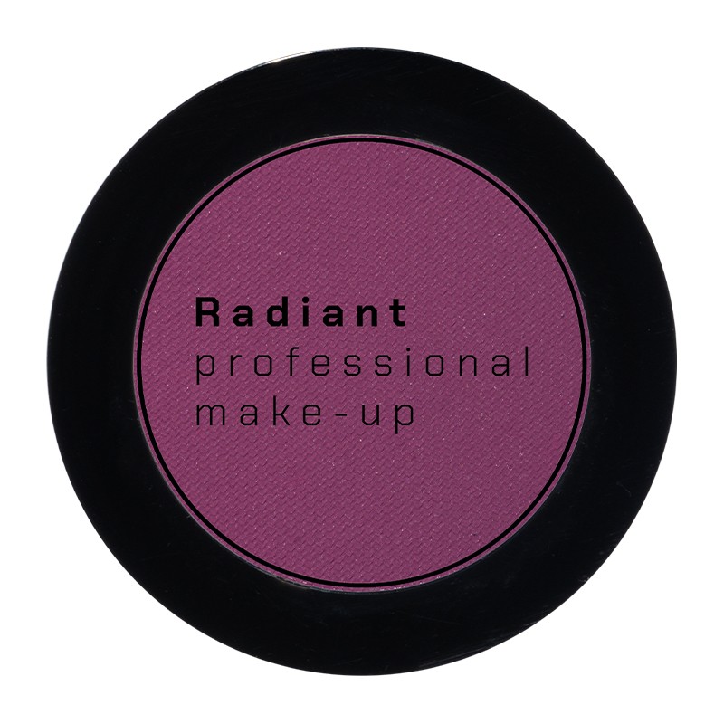 RADIANT PROFESSIONAL EYE COLOR N.295 PLUM