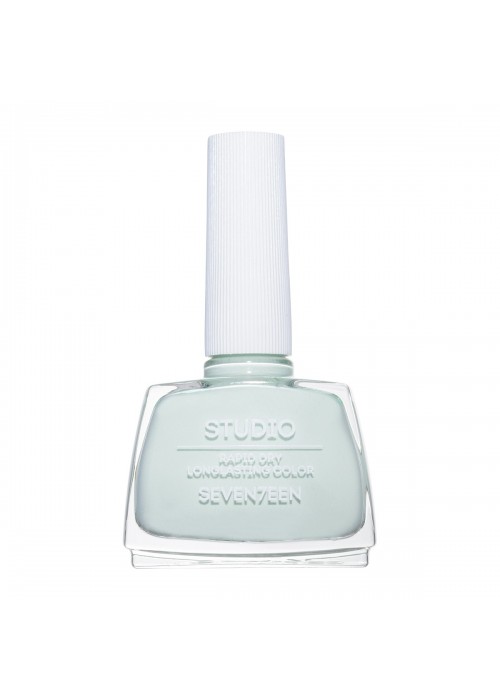 SEVENTEEN STUDIO RAPID DRY LONGLASTING COLOR NAIL N.249 12ML