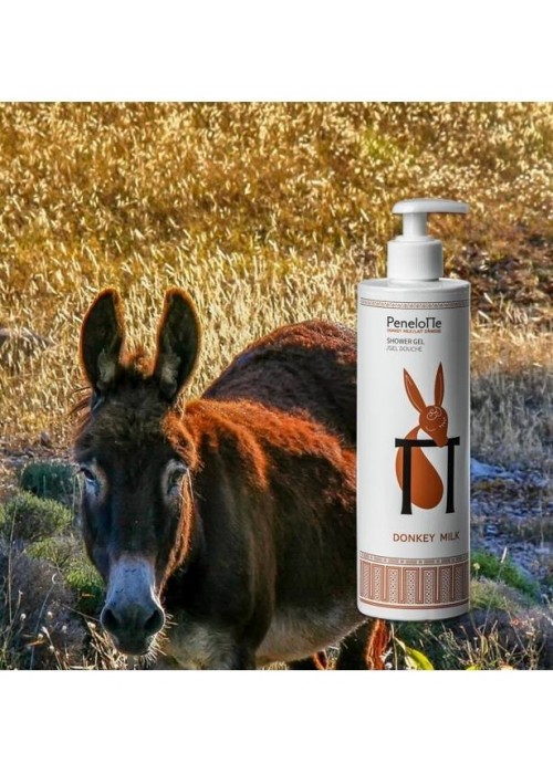 PENELOPE ΑΦΡΟΛΟΥΤΡΟ DONKEY MILK 500ML