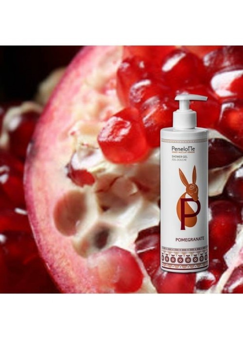 PENELOPE ΑΦΡΟΛΟΥΤΡΟ POMEGRANATE 500ML