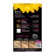 GARNIER OLIA COLOR AMMONIA FREE N.9.0 BLOND ΠΟΛΥ ΑΝΟΙΧΤΟ 60GR