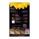 GARNIER OLIA N.7.13 ΞΑΝΘΟ ΜΠΕΖ ΣΑΝΤΡΕ 60GR