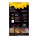 GARNIER OLIA N.8.31 ΑΝΟΙΧΤΟ ΧΡΥΣΑΦΙ 60GR