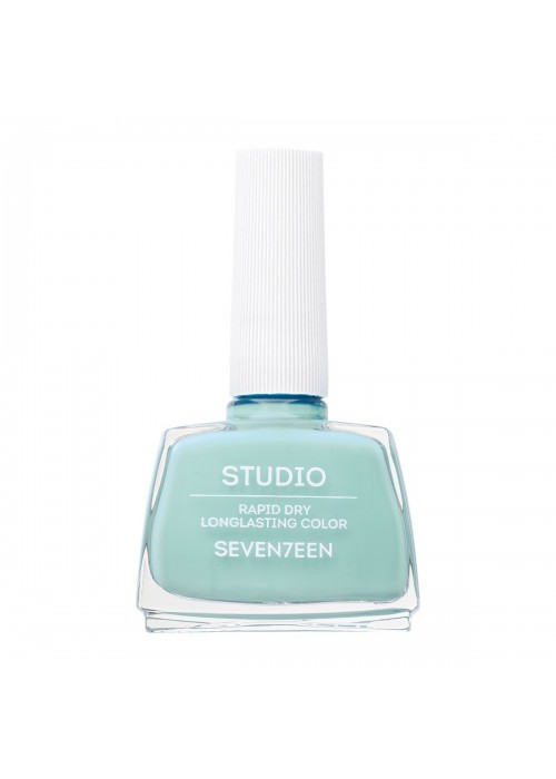 SEVENTEEN STUDIO RAPID DRY LONGLASTING COLOR NAIL N.282