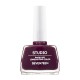 SEVENTEEN STUDIO RAPID DRY LONGLASTING COLOR NAIL N.289 12ML