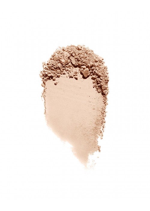 ERRE DUE COMPACT POWDER OIL FREE FAIR PASTELLE N.201