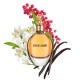 ROBERTO CAVALLI EDP 30ML