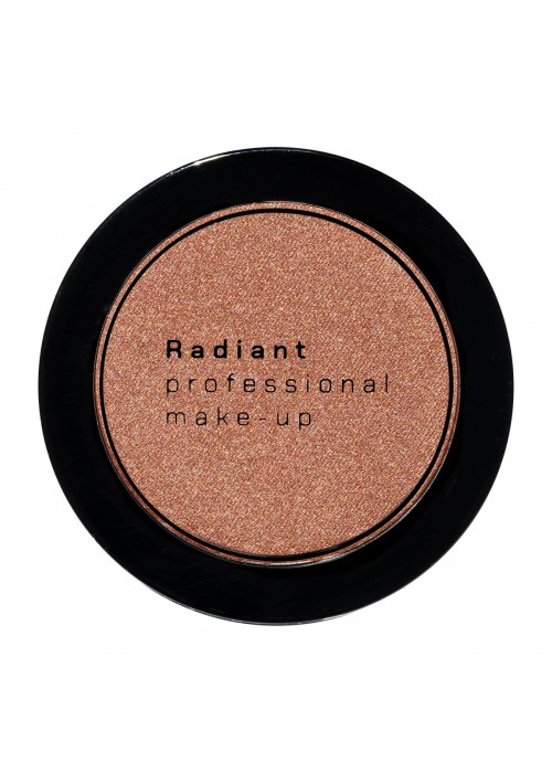 RADIANT BLUSH COLOR N.113 WINTER PLUM