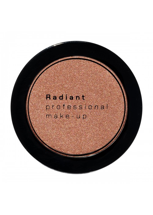 RADIANT BLUSH COLOR N.113 WINTER PLUM