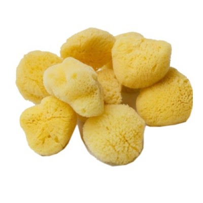 MAKE-UP CLEANING SPONGES